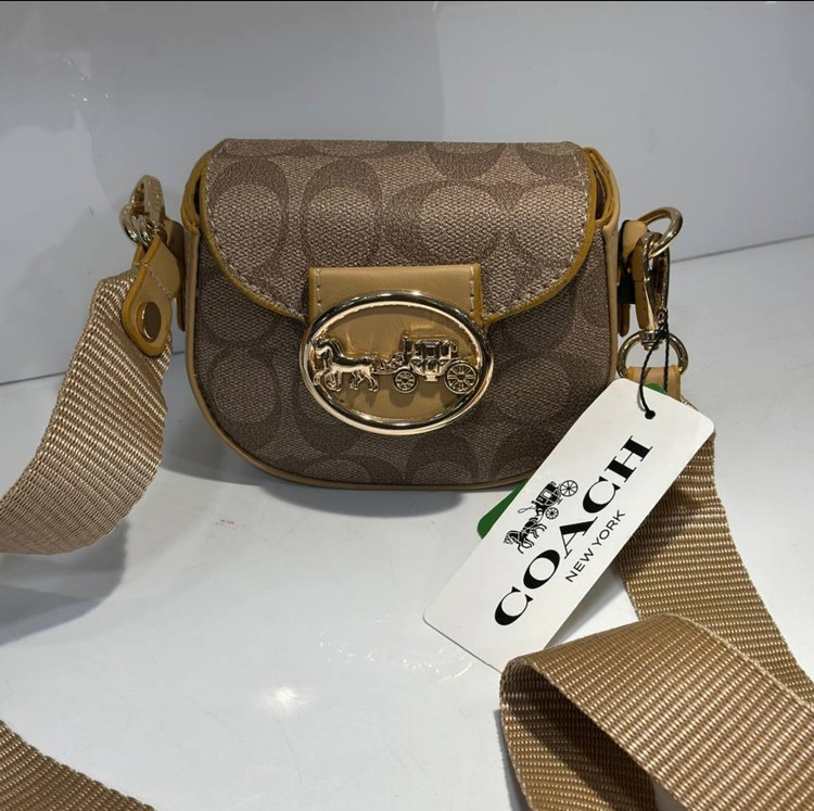 مینی بگ لوییویتون Louis vuitton