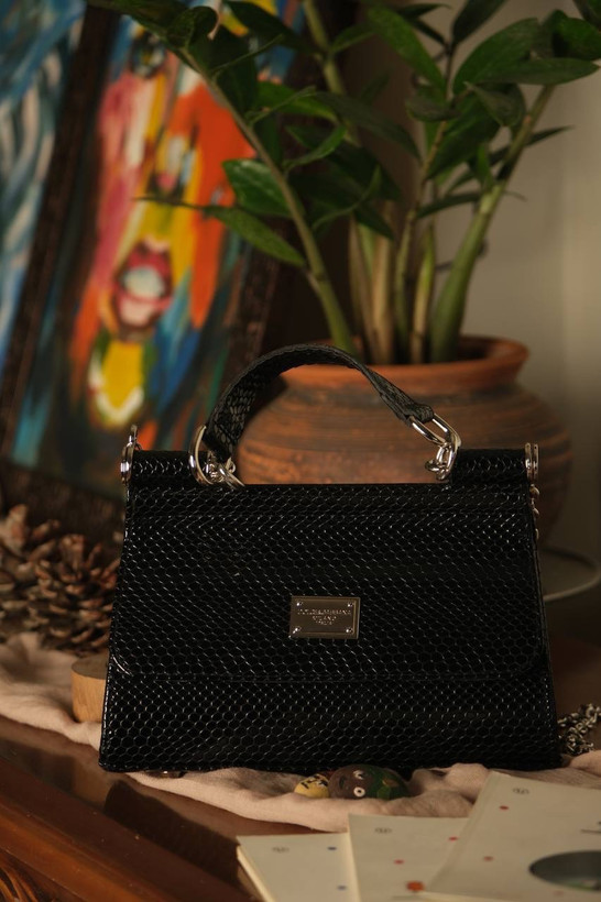 کیف دولچه گابانا